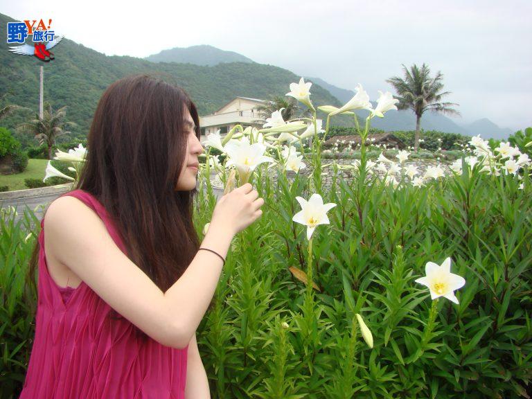 dsc04136