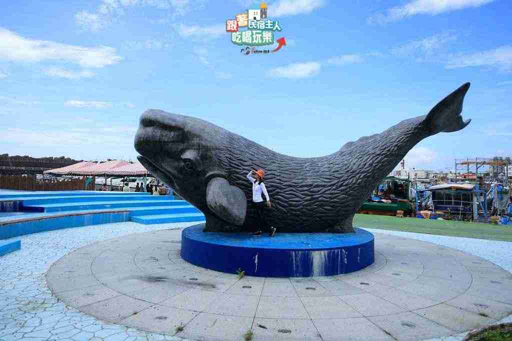 花蓮賞鯨-太平洋上體驗與海豚、鯨魚同行的樂趣